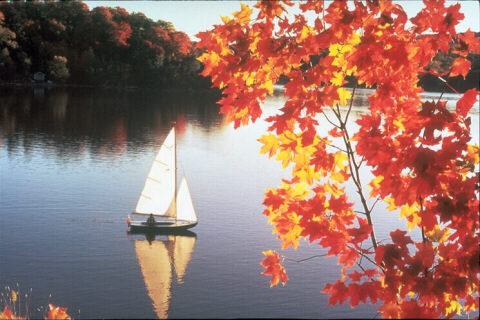 image of sailboat