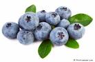 blueberries